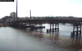 140001_679204930.jpg