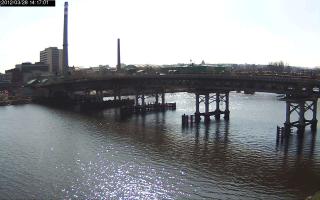 141701_627378180.jpg
