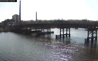 142501_722818571.jpg