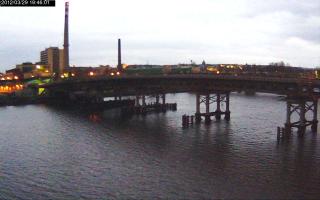 194601_445643715.jpg