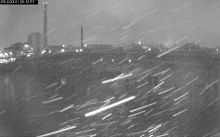 201201_784043772.jpg