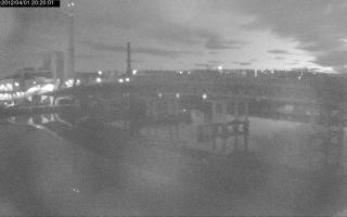 202001_427326273.jpg