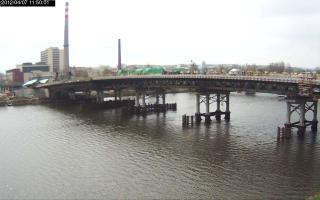 115001_482425921.jpg