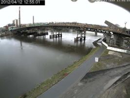 125501_443029412.jpg