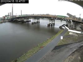 154701_334356844.jpg