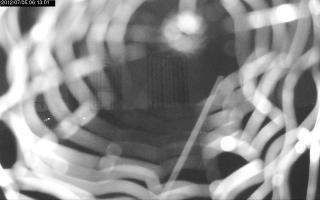 061301_804568749.jpg