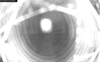 205901_801537274.jpg