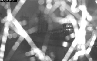 204901_461863134.jpg