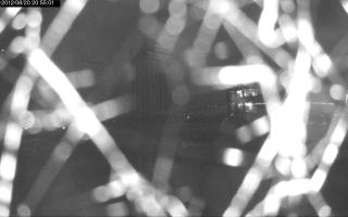 205501_618067226.jpg