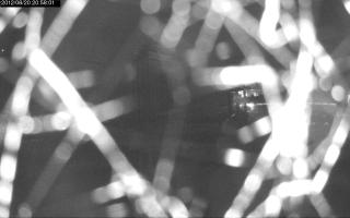 205801_927313320.jpg