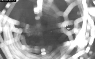 205401_940717412.jpg