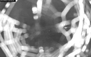 205501_177153447.jpg
