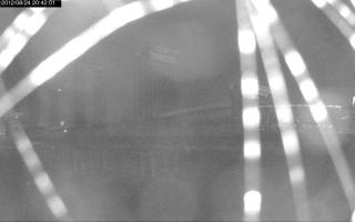 204201_984858357.jpg