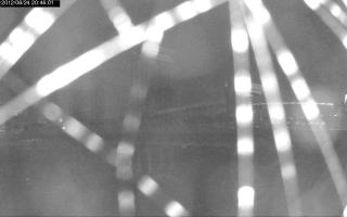 204601_740081689.jpg