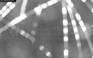 205001_365351504.jpg