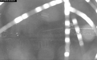 205501_304837413.jpg