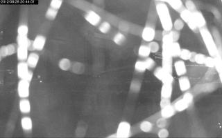 204401_916936548.jpg