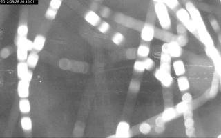 204601_493474511.jpg