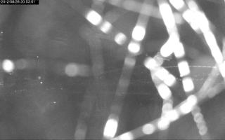 205301_332680210.jpg