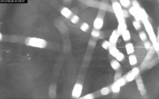 205801_415971270.jpg
