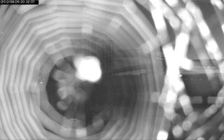 203201_274689654.jpg