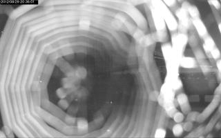 203601_454758316.jpg