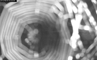 204001_261789521.jpg