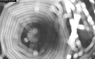 204201_797358449.jpg