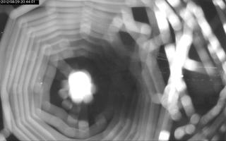 204401_303714598.jpg