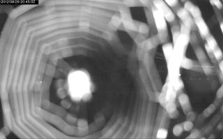 204502_042177549.jpg
