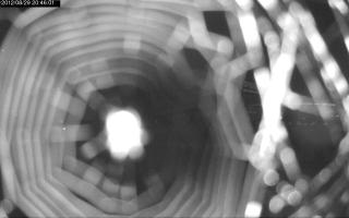 204601_890405156.jpg