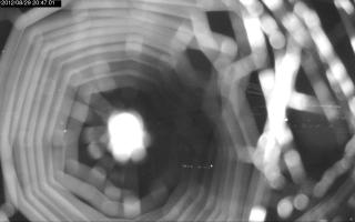 204701_553262272.jpg