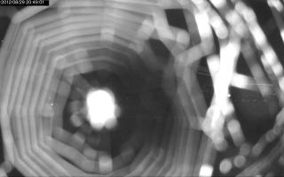 204901_810176245.jpg