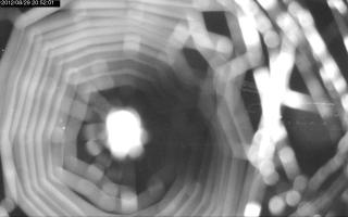 205201_545504631.jpg