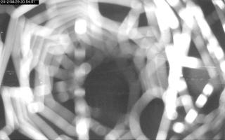 205401_476434094.jpg