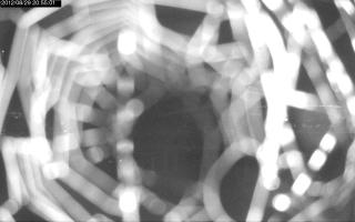 205501_289193130.jpg