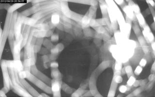 205601_214411486.jpg