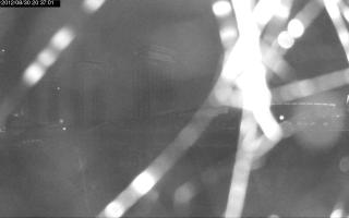 203701_095365757.jpg