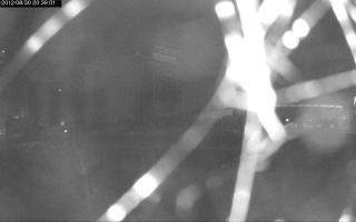 203901_642252645.jpg