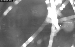 204001_375316802.jpg