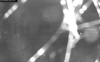 204101_291783165.jpg