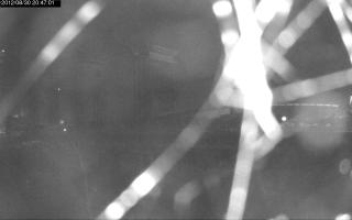 204701_182344147.jpg
