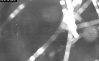 205002_404741337.jpg