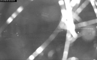 205301_740081848.jpg