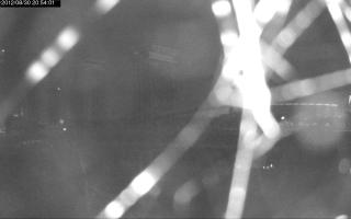 205401_150608087.jpg
