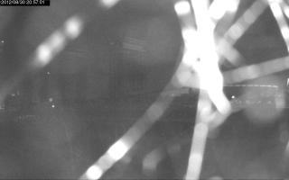 205701_155620309.jpg