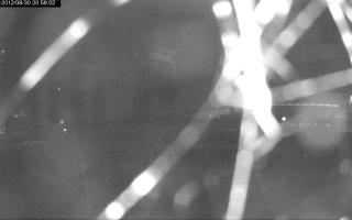 205802_000892252.jpg