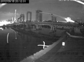 201201_536726842.jpg