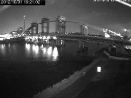 192102_196443776.jpg