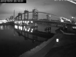 201001_198282962.jpg